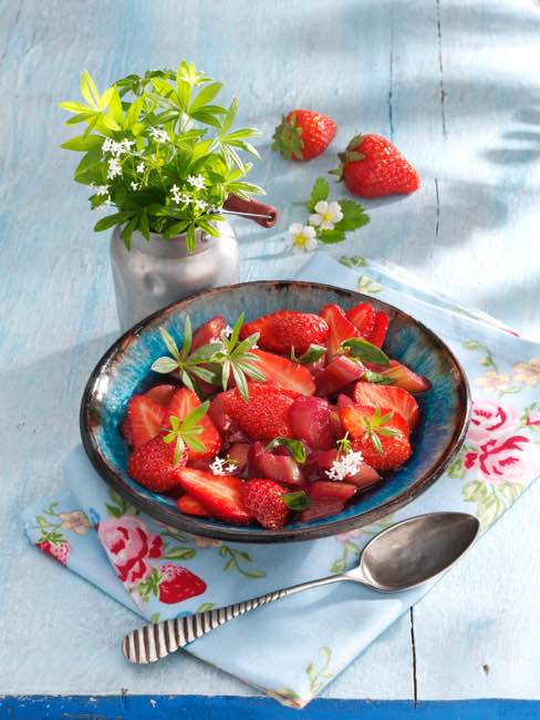 Erdbeer-Rhabarber- Kompott